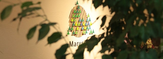 maintenance s01 img01