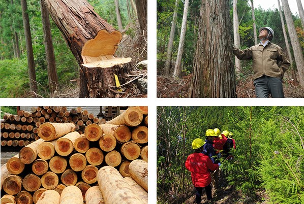 tenryuuzai s06 img01