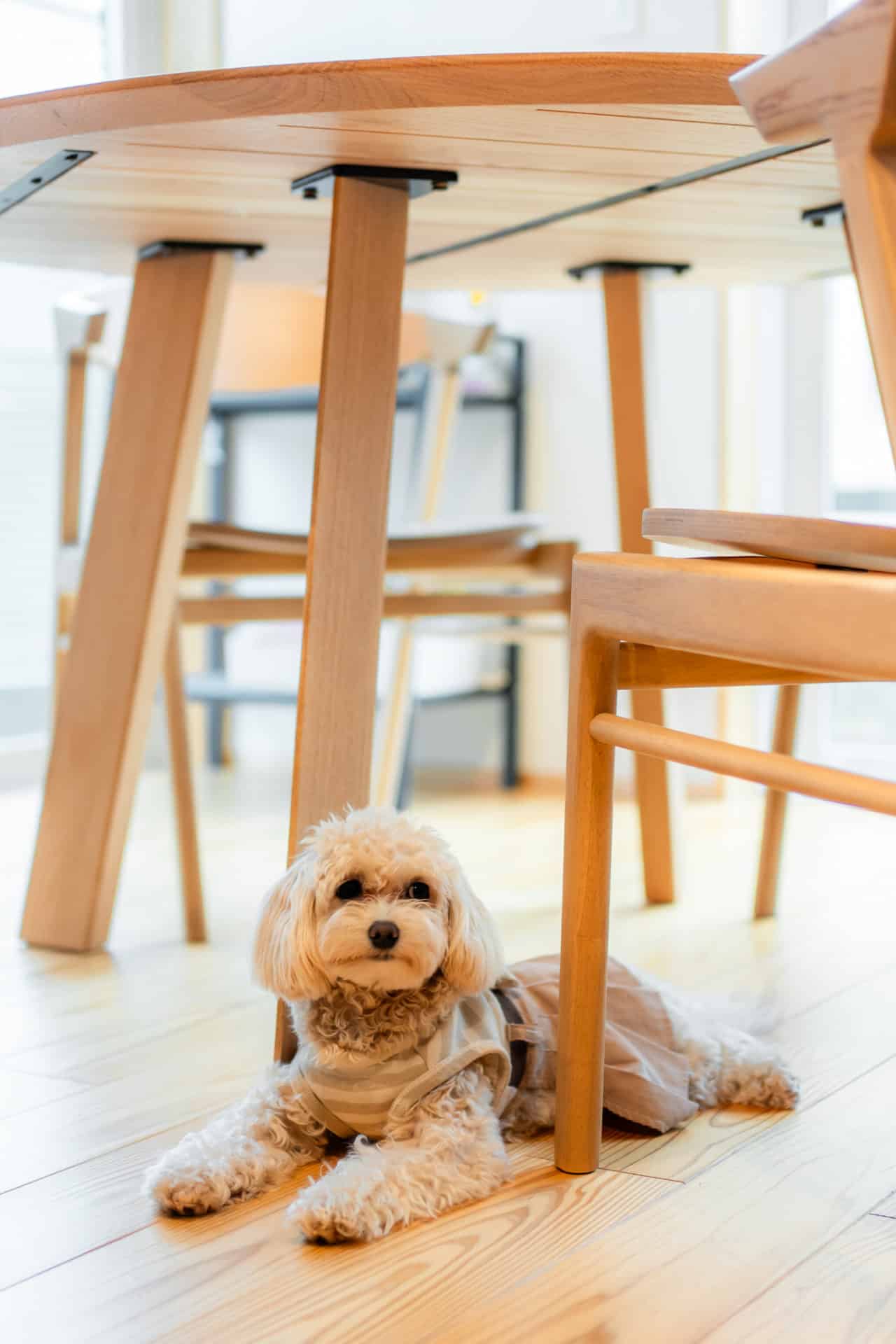 78f793844b37a5bed35f6bbb9895abc1